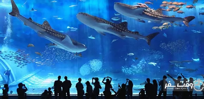 آکواریوم آنتالیا , وقت سفر