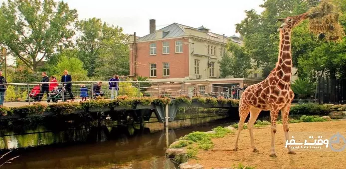 باغ وحش آمستردام , وقت سفر
