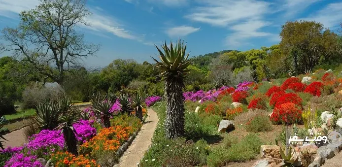 باغ گیاه شناسی افریقا , وقت سفر