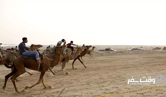 جشنواره شتر