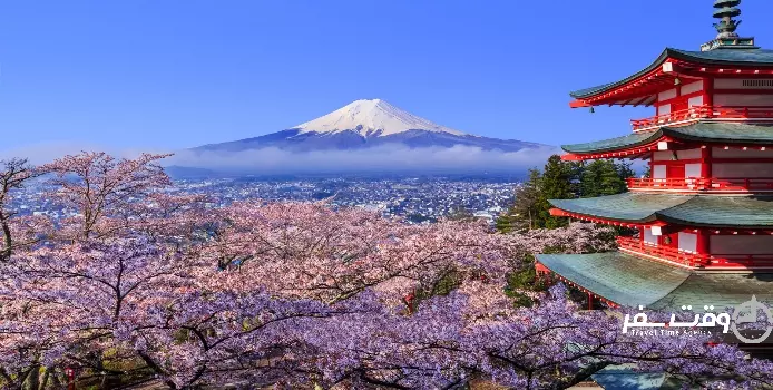 جشنواره شکوفه های گیلاس , وقت سفر