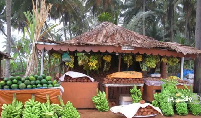 جشنواره صلاله , وقت سفر