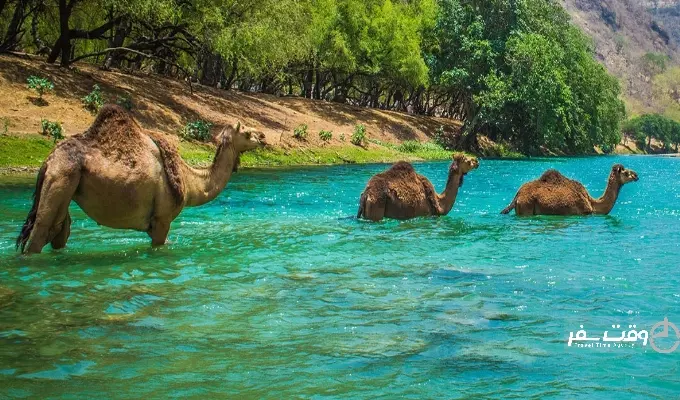 جشنواره صلاله , وقت سفر