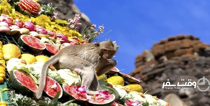 جشنواره ضیافت میمون ها , وقت سفر