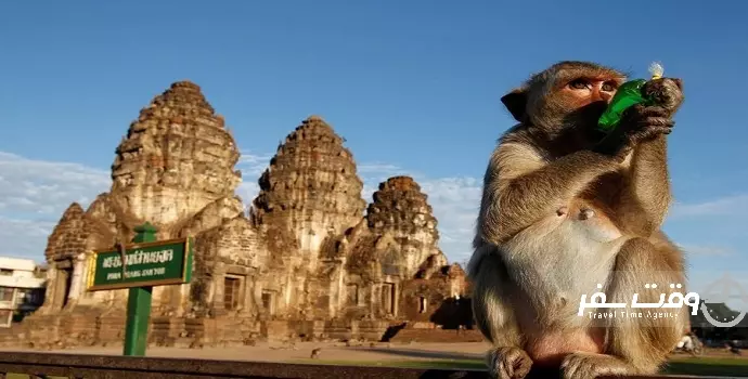 جشنواره ضیافت میمون ها , وقت سفر