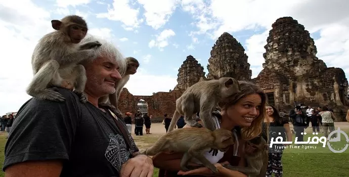 جشنواره ضیافت میمون ها , وقت سفر