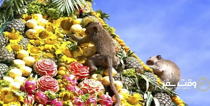 جشنواره ضیافت میمون ها , وقت سفر