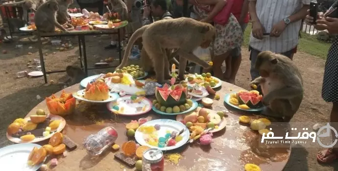 جشنواره ضیافت میمون ها , وقت سفر