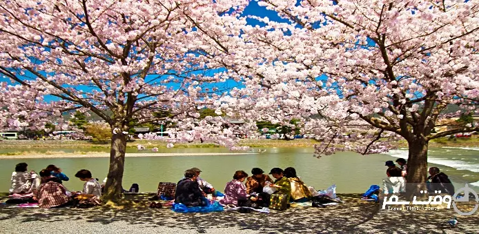 دیدار با شکوفه های گیلاس , وقت سفر