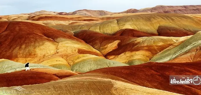 عکسسسسسسسسسسسسس