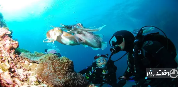 غواصی با تجهیزات سانتورینی , وقت سفر