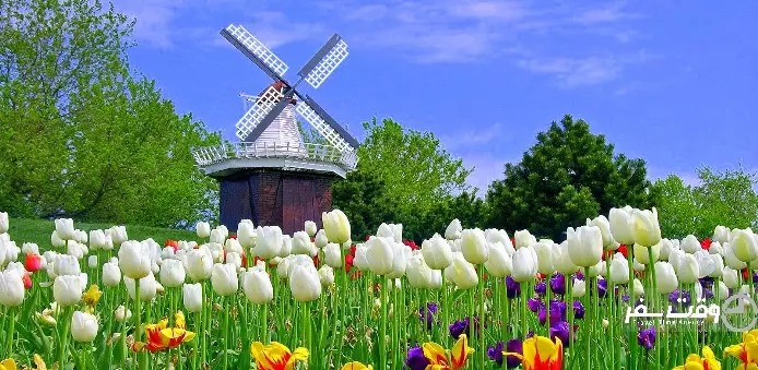 فستیوال گل لاله , وقت سفر