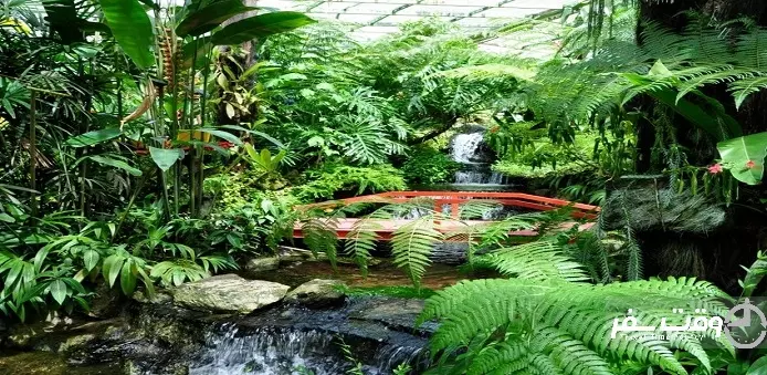 مزرعه پروانه , وقت سفر