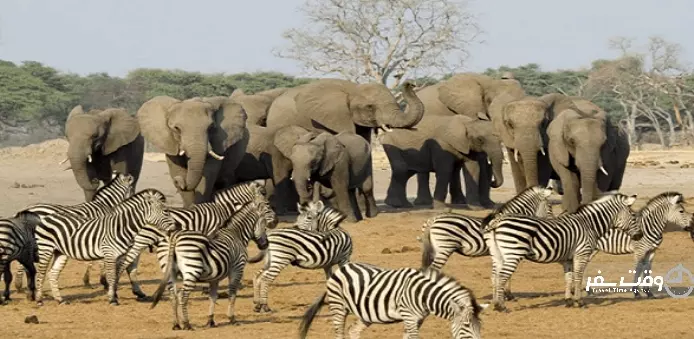 پارک حفاظت شده کروگر , وقت سفر