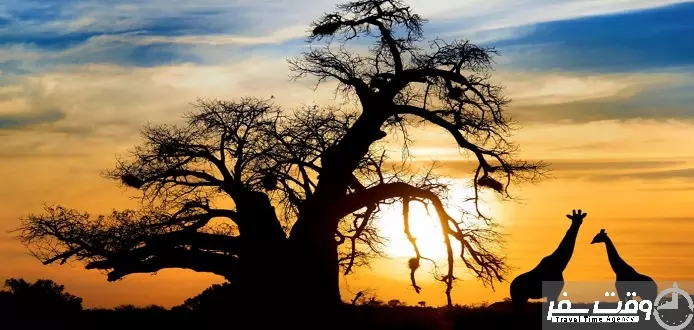 تور آفریقا نوروز 98 , وقت سفر