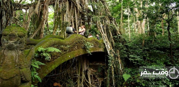 جنگل میمونها اندونزی , وقت سفر