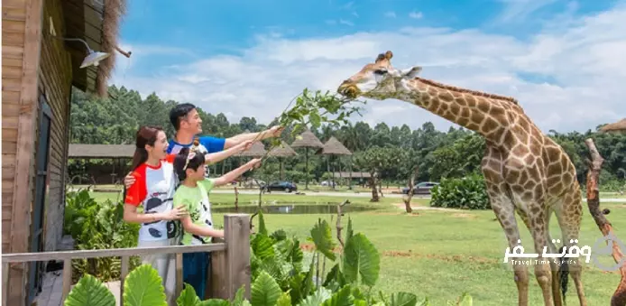 سافاری پارک , وقت سفر