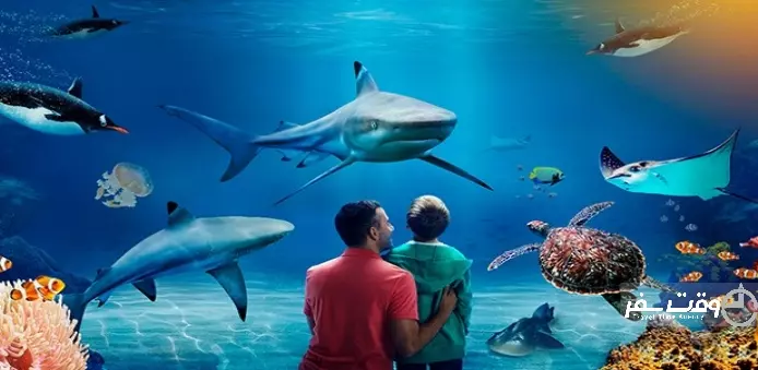 سی لایف لندن , وقت سفر