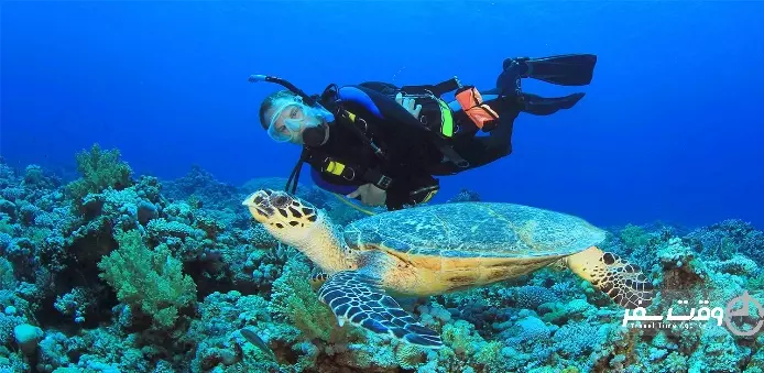 غواصی , وقت سفر