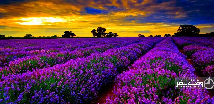 پروواناس , وقت سفر