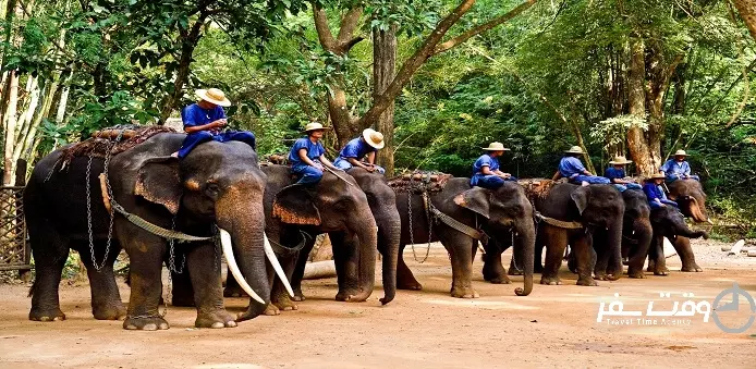 کمپ فیل های آبی , وقت سفر