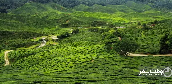 کورگ، کارناتاکا , وقت سفر