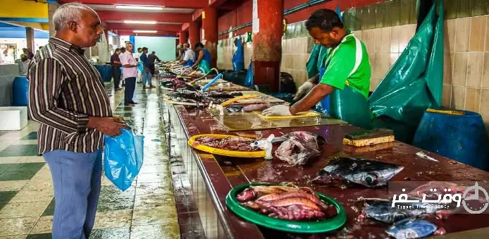 بازار ماهی مالدیو , وقت سفر